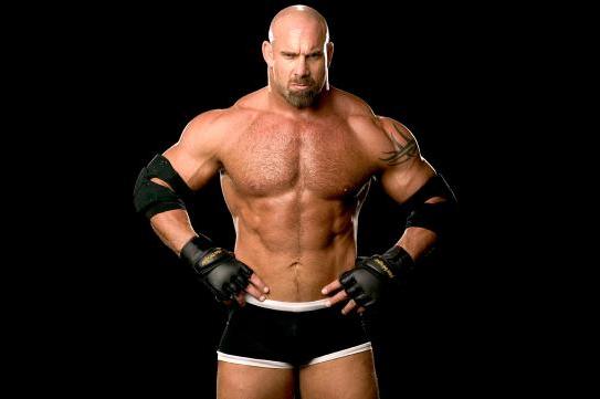 Bill Goldberg profile