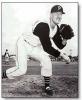 Vernon Law