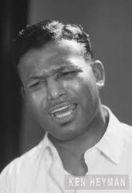 Sugar Ray Robinson profile