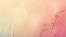 aesthetic/Aesthetic-10_thumb.jpg